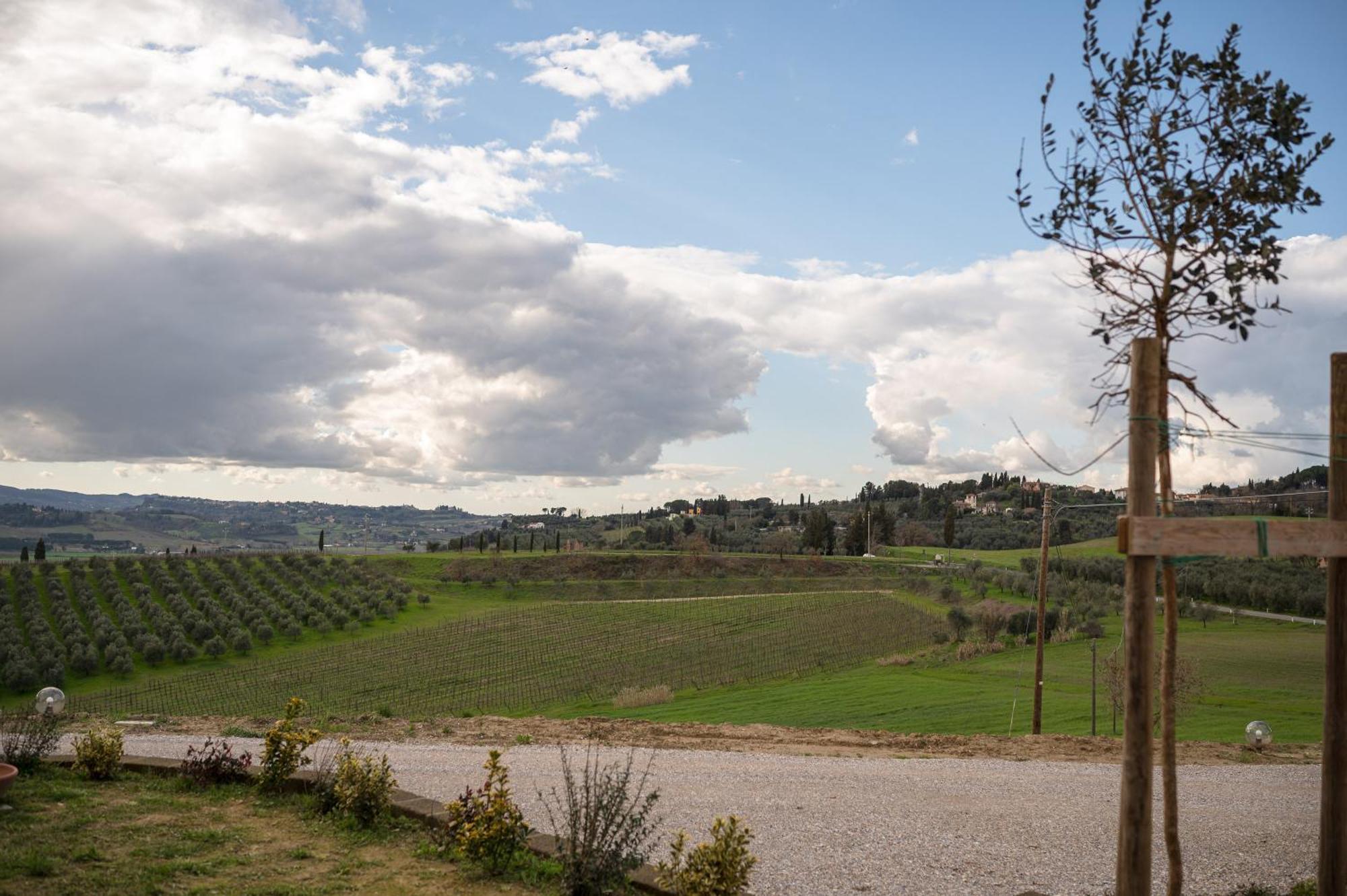Podere Cornacchino Peccioli Kültér fotó